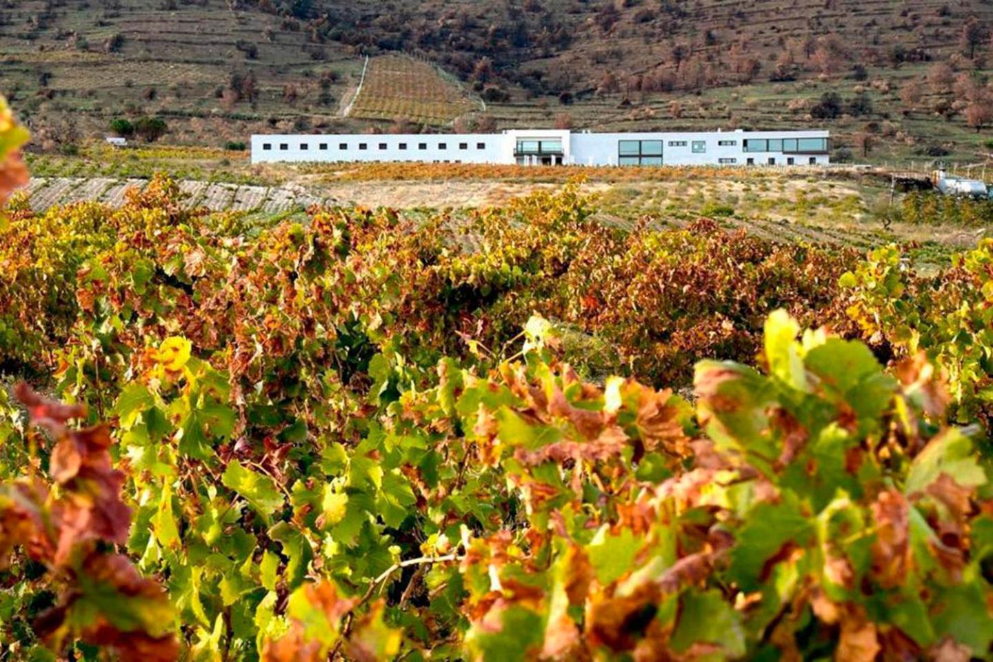 Hotel Tierras De Cebreros Luaran gambar